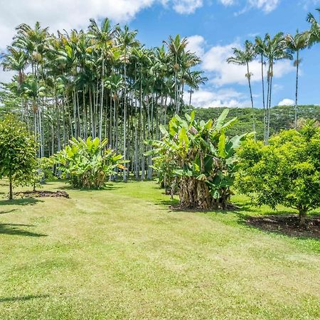 Old Hawaiian Bed And Breakfast Hilo Esterno foto