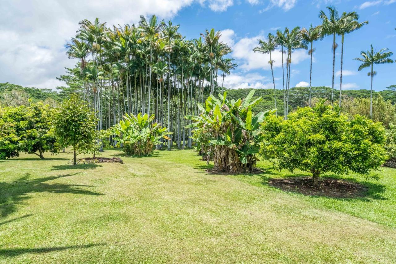 Old Hawaiian Bed And Breakfast Hilo Esterno foto