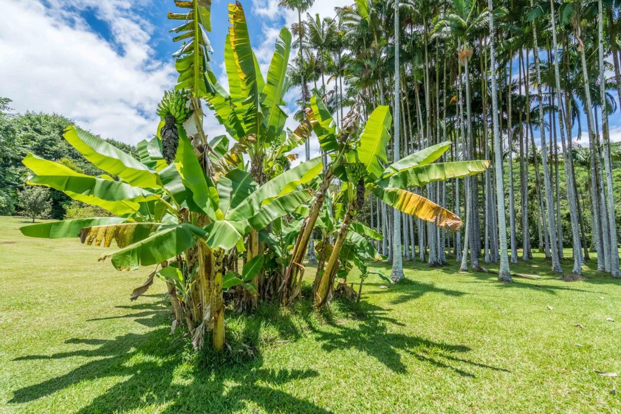 Old Hawaiian Bed And Breakfast Hilo Esterno foto