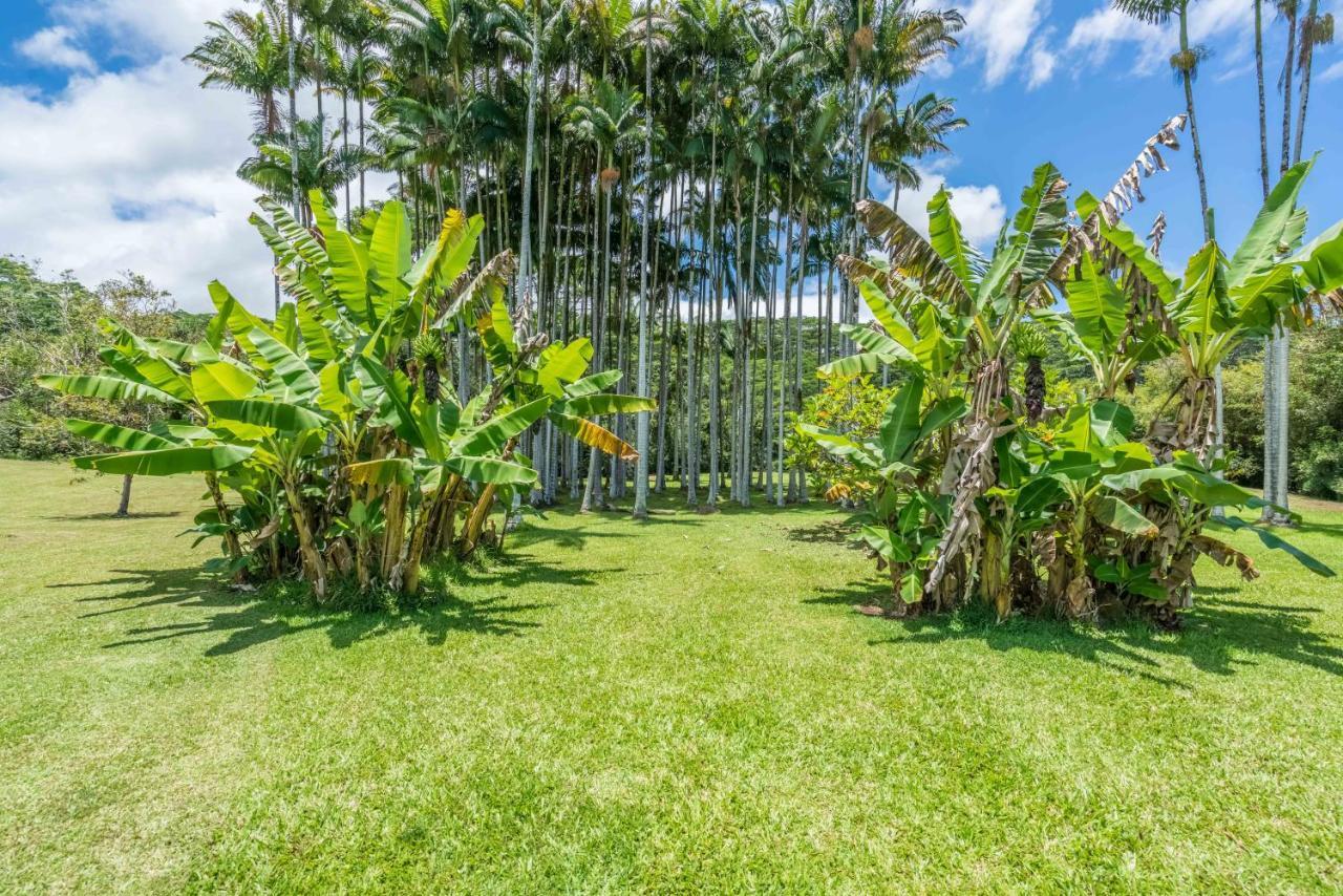 Old Hawaiian Bed And Breakfast Hilo Esterno foto