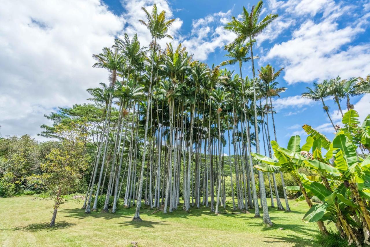 Old Hawaiian Bed And Breakfast Hilo Esterno foto